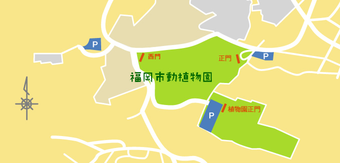 动植物园停车场