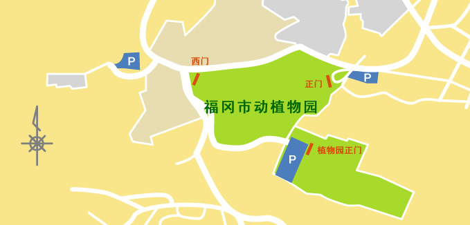 动植物园停车场