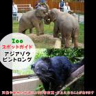 12月28日はアジアゾウとビントロング