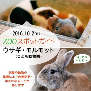 2016年10月2日(日)のスポットガイドは9：30～　ウサギ・モルモット