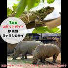 3月29日は、は虫類とミナミシロサイ