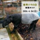 「世界バクの日」特別ガイドを開催します