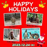 動物園のクリスマスを開催します！