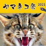 「ヤマネコ祭2021」を開催します
