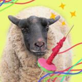 動物情報館ZooLab「羊毛から糸を作ろう」