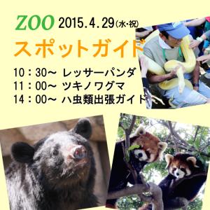 4/29(水祝)，zooスポットガイドは10：30からレッサーパンダ，11：00からツキノワグマ，14：00からハ虫類出張ガイド
