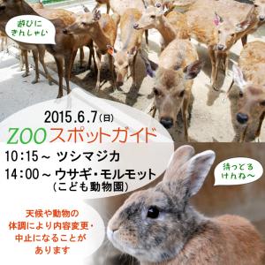 2015年6月7日(日)のスポットガイドは10：15～ツシマジカ ，14：00～ウサギ・モルモット