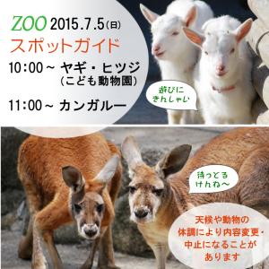 2015年7月5日(日)のスポットガイドは10：00～ヤギ・ヒツジ（こども動物園） ，11：00～ カンガルー