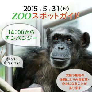 2015年5月31日(日)のスポットガイドは☆14：00からチンパンジー  当日どなたでも参加できます。 開始時刻までに、獣舎前へお越しください。※天候不良や動物の体調により中止することがあります。あらかじめご了承ください。