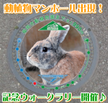 限定"動植物園メダル"をゲット！3/15ウォークラリーを開催！！