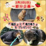 2月2日は「節分企画」！恵方巻や福豆を動物たちにプレゼント！