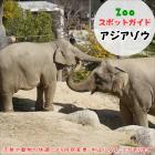 4月26日はアジアゾウ