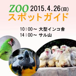 2015年4月26日（日）zooスポットガイド，10：00～大型インコ舎，14：00～サル山