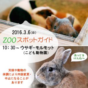2016年3月6日(日)のスポットガイドは10：30～ウサギ・モルモット（こども動物園）