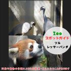 3月15日はツルとレッサーパンダ