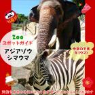 1月2日はアジアゾウとシマウマ(新春干支ガイド)