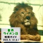 「世界ライオンの日」特別ガイドを開催します