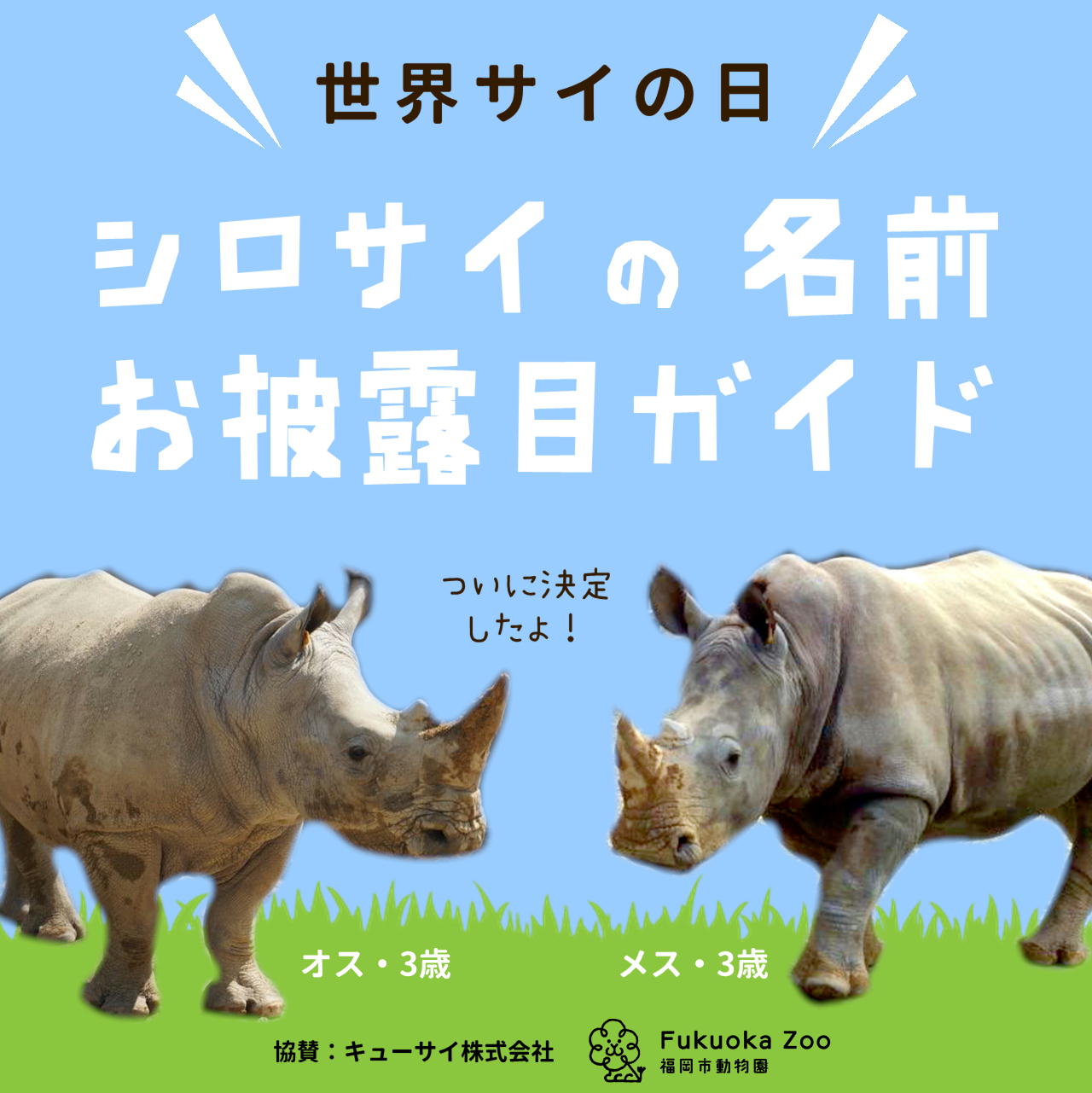 福岡市動物園 世界サイの日 シロサイの名前お披露目ガイド
