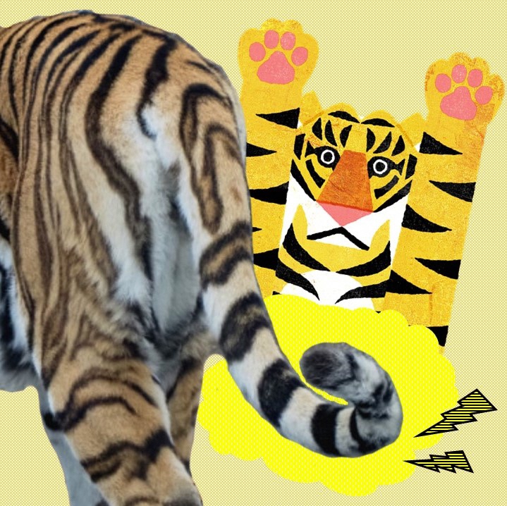福岡市動物園 動物情報館zoolab トラのしっぽを作ろう