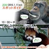 2016年1月11日(祝月)のスポットガイド
