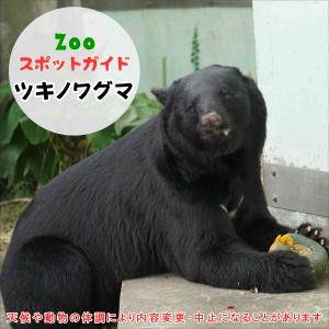 飼育員によるZOOスポットガイド。 当園に暮らす動物たちのお話を中心に、生態やエサについて担当飼育員が楽しくご紹介します。