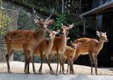 サポーターズデイ『7月のバックヤードガイド』