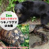4月23日はツキノワグマとは虫類