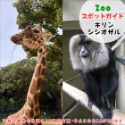 11月2日はキリンとシシオザル