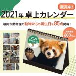 福岡市動物園オリジナル『動物カレンダー2021』 発売！