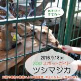 2016年9月18日(日)のスポットガイド