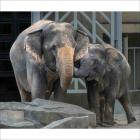 第48回福岡市動物園写真コンテスト作品展示