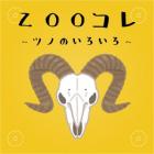 動物情報館ZooLab「福岡市動物園コレクション～ツノのいろいろ～」