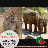 7月21日はニホンザルとアジアゾウ