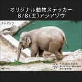 公共交通機関で「夜の動植物園」に来園した方へ「オリジナル動物ステッカー」をプレゼント♪