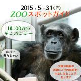 2015年5月31日(日)のスポットガイド