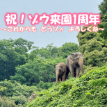 「世界ゾウの日(8/12)」と「ゾウ来園１周年」を記念した特別イベントを開催します