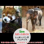 5月18日はレッサーパンダとアジアゾウ