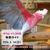 「オウム・インコの日」特別ガイドを開催します