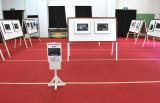 「hamada動物写真展」を開催中です