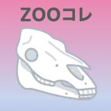動物情報館ZooLab「ZOOコレ∼動物園収蔵品展∼」