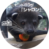 ビントロング『シャロン』のお別れガイド