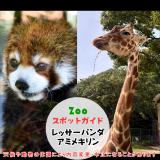 1月4日はレッサーパンダとキリン