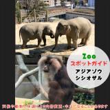 3月20日はアジアゾウとシシオザル