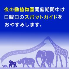 夜の動植物園開催期間中はスポットガイドをお休みします