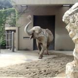 サポーターズデイ『5月のバックヤードガイド』