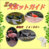 2014年11月3日(月)のスポットガイド