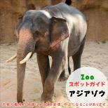 5月25日はアジアゾウ