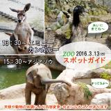 2016年3月13日(日)のスポットガイド
