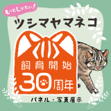動物情報館ZooLab【パネル展】「もっとしりたい！ツシマヤマネコ」