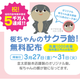 "桜ちゃんのサクラ飴"無料配布！「桜(おう)ちゃんのさくらまつり」